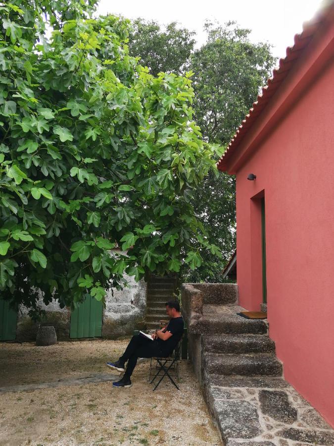 Quinta Do Santinho Vila Amarante Exterior foto
