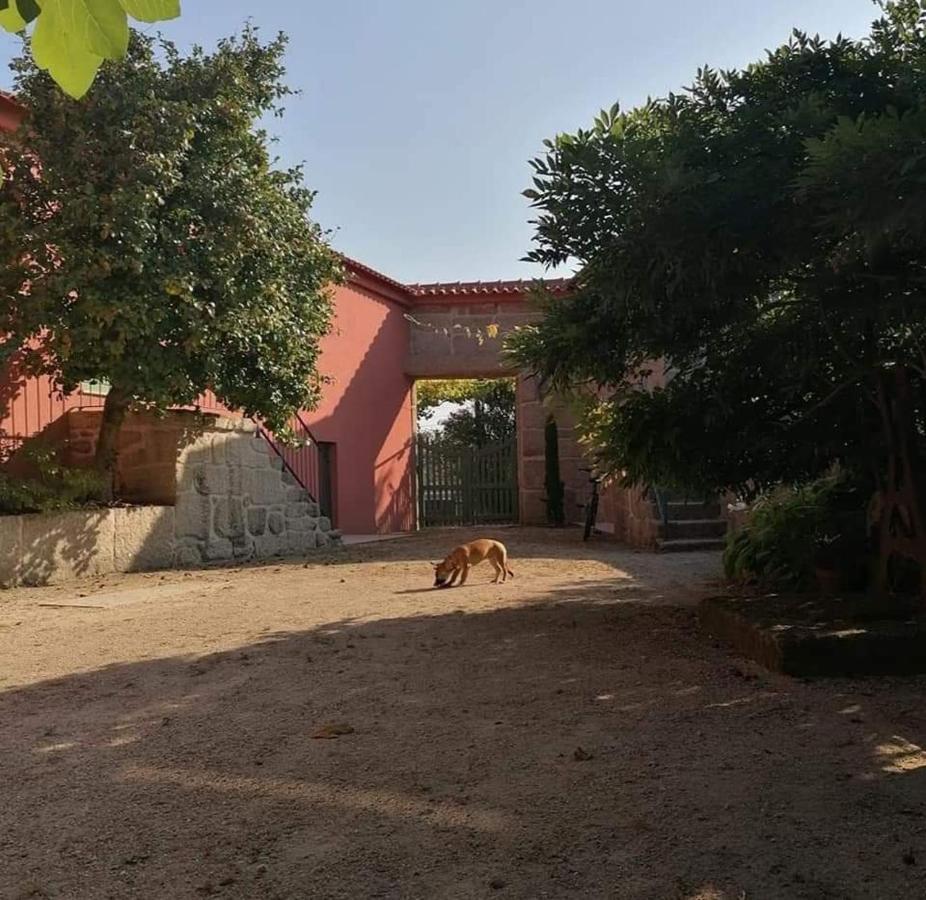 Quinta Do Santinho Vila Amarante Exterior foto