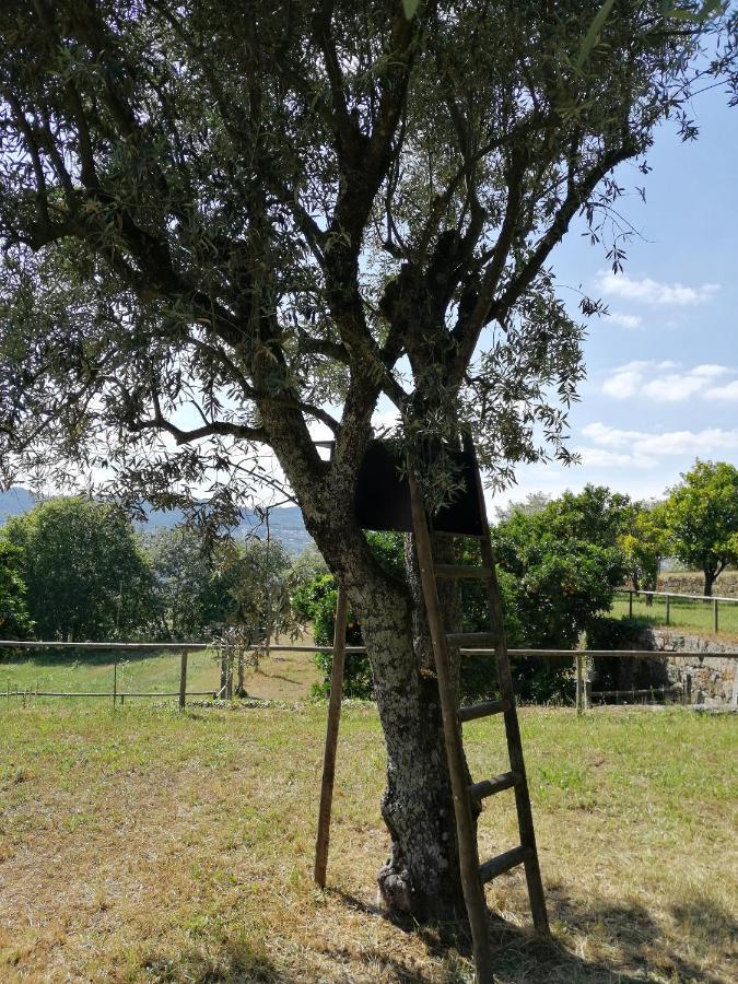 Quinta Do Santinho Vila Amarante Exterior foto
