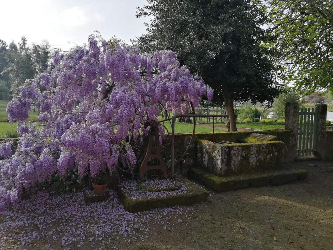 Quinta Do Santinho Vila Amarante Exterior foto